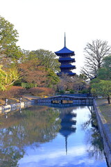 Toji Temple, a Historic Buddhist temple with a 5-story wooden pagoda at Kujocho, Minami, Kyoto, Japan