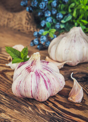 A head of garlic in a rustic arrangement - 750526735