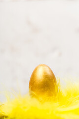 Golden Easter egg in yellow feather with empty space