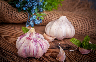 A head of garlic in a rustic arrangement - 750526914