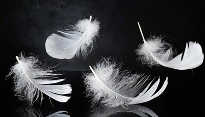 beautiful soft and light group of white feathers falling in ther