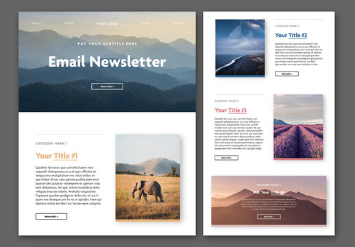 Email Newsletter Layout