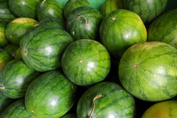 Fresh watermelons (Citrullus lanatus) on shelves in  supermarket