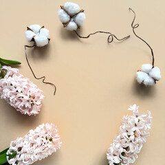 Spring background with pink hyacinth and white cotton flowers on cream, beige paper background.