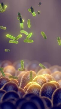 Intestinal bacteria vertical video. Probiotics are beneficial bacteria used to help the growth of healthy gut flora. Gut microbiome helps control intestinal digestion and the immune system	
