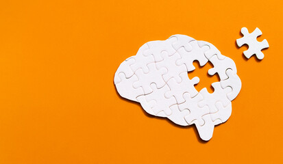 Incomplete Human Brain Puzzle on Orange