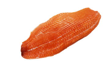 Fresh Raw Salmon Fillet Isolated on White, A vibrant orange raw salmon fillet with distinct marbling, isolated on a white background, perfect for culinary presentations.