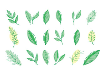 leaf icon, green leaves set	
