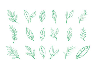 leaf and flower floral ornament template, set of green leaves
