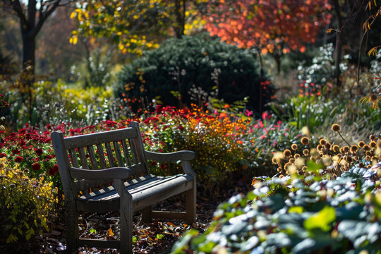 wooden chair in the middle of a colourful flower garden