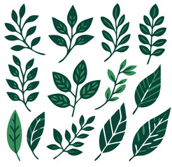 A Captivating Vector Image of Simplified Leaves: Elegant and Natural Leaf Designs for Your Artistic Projects