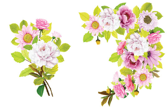 peonies floral summer bouquets illustration