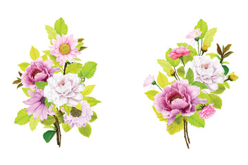 peonies floral summer bouquets illustration