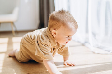 Baby Crawling on the Floor in a Room