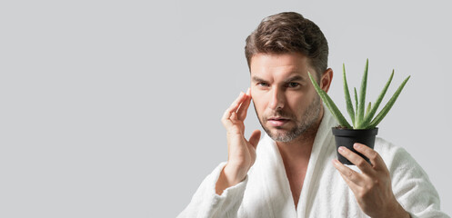 Aloe vera for cosmetics skin mask. Facial mask with aloe vera. Spa, dermatology, wellness and...