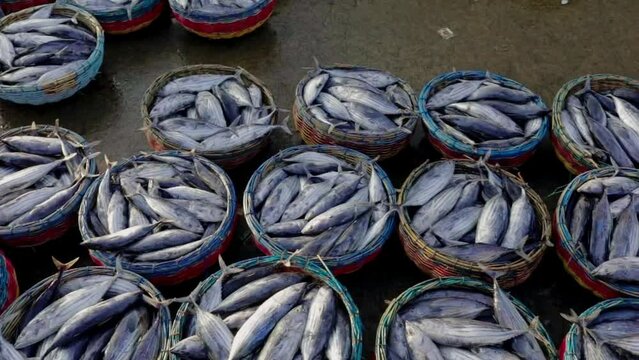 Fish traders who are busy with various trading activities