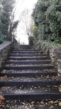 Stairway to the sky - Letterkenny, Ireland