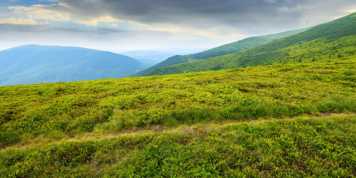 hiking trail through green hillside. vast green meadows of carpathian mountain landscape. outdoor summer vacations