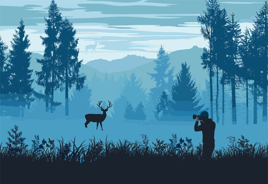 A man capturing a photo of a deer in the natural landscape of the woods with snowcapped mountains in the background, creating a picturesque scene