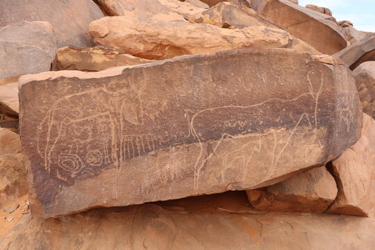 Des gravures rupestres en Alg&eacute;rie &agrave; Taghit
