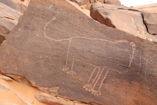 Gravures de Taghit