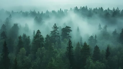 Papier Peint photo autocollant Forêt dans le brouillard artificial intelligence generated image of a pine forest