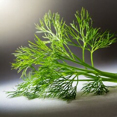 Green Oasis: Close-Up Shot of Vibrant Green Dill Sprig