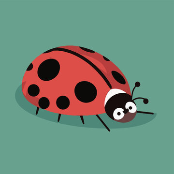 Vector Ladybug illustration flat design 