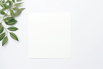 Flat lay of vibrant green leaves partially covering a white blank paper on a clean background