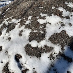 snow and shadows on the ground