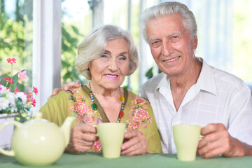 Elderly couple sitting at the table in the summer at the country house