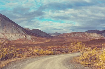 Fotobehang Road in tundra © Galyna Andrushko