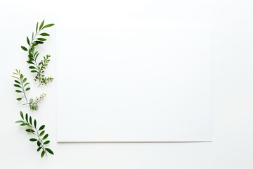 A minimalist setup showing a blank canvas with a natural touch of green leaves on the top left corner, giving room for custom text