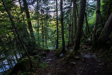 Summer in Uelhs Deth Joeu waterfall, Val D Aran, Spain