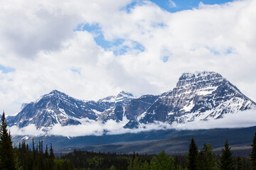 Obraz premium Summer landscape in Jasper National Park, Canada