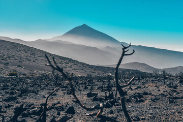 Teide National park , Tenerife