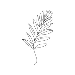 One line continuous drawing vector leaf and palm tree leave. Modern single line art, contour.