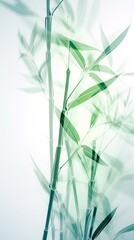 Fototapeta na wymiar Soft Green bamboo on white for your design and wallpaper