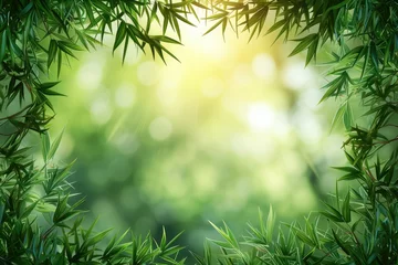 Foto auf Acrylglas Antireflex green bamboo forest © Vasili