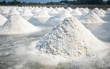 Small-scale Sea Salt Farming by Local Communities