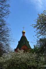 orthodox church among flowering trees in early spring