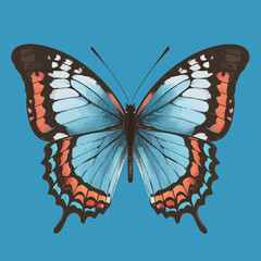 Vector Butterfly on a white background illustration flat design 