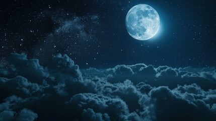 Obraz na płótnie Canvas beautiful moonlit night