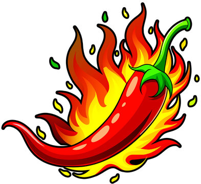 hot red chili pepper  