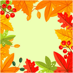 Autumn leaves, vector illustration White Background