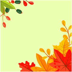 Autumn leaves, vector illustration White Background