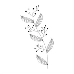 Black silhouette of a plant branch. Tropical leaves. Flower branch in outline style hand drawn on isolated white background. Vector stock illustration. Minimal line art for print, cover or tattoo.