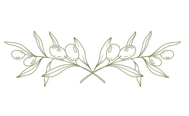 Olive branch on white background vector illustration. Olives Line Drawing. Black and white Olive Branches. Floral Line Art. Fine Line Olives illustration. Hand Drawn Olive. Wedding invitation greenery