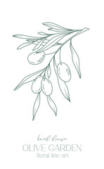 Olive branch on white background vector illustration. Olives Line Drawing. Black and white Olive Branches. Floral Line Art. Fine Line Olives illustration. Hand Drawn Olive. Wedding invitation greenery