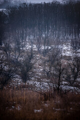 Abandoned house in the forest village at winter. Mystery landscape archittcture. Evening at village. Snow on the roof